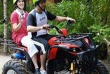 Island Safari - Elephant Trek & ATV